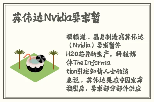 铿锵锵锵锵锵好多少